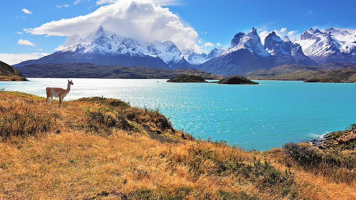 torres-del-paine-torres-del-paine-national-park-chile-mountains-clouds-hd-wallpaper-preview